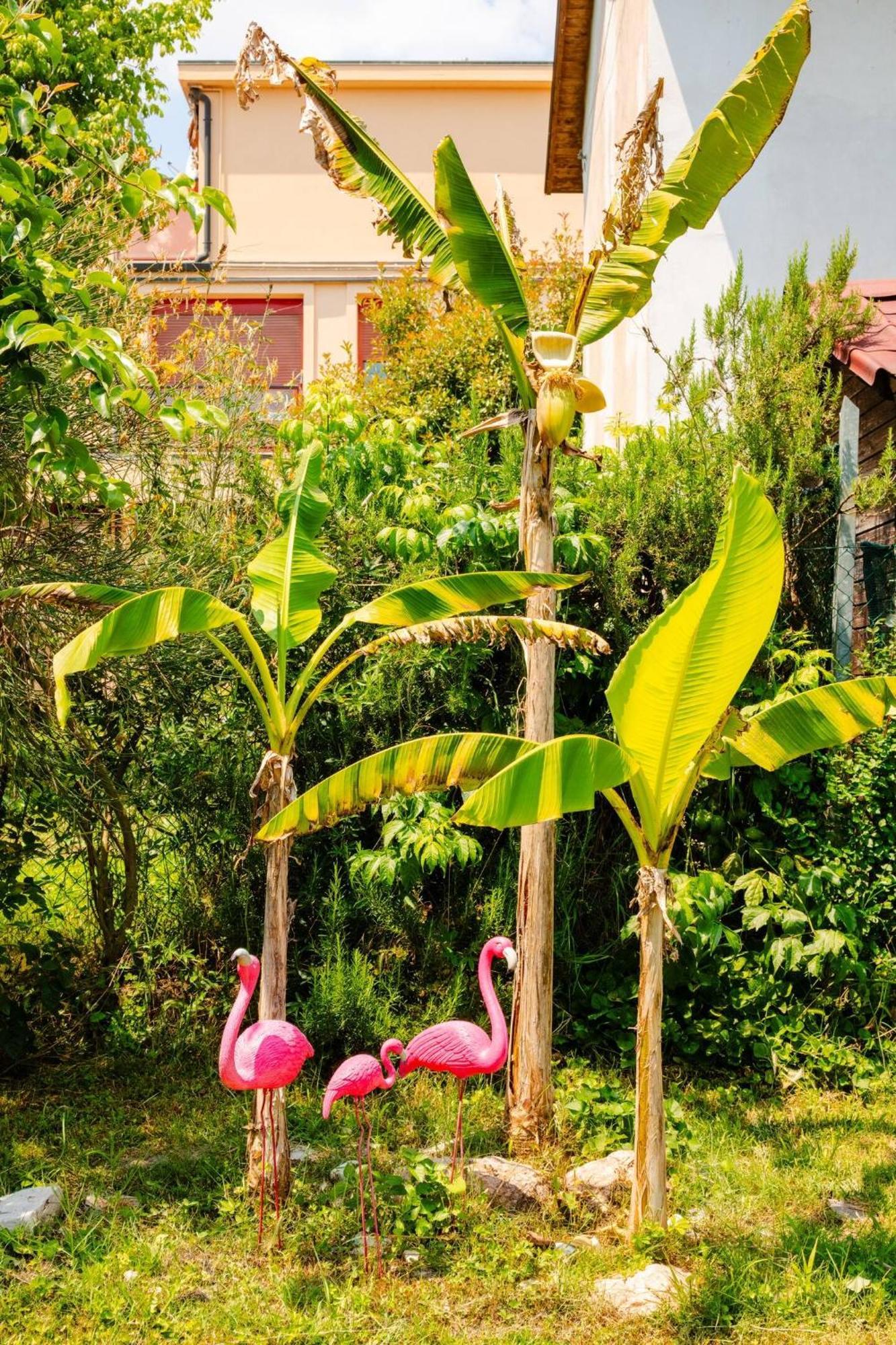 Garden Loft Bed & Breakfast Baricella Bagian luar foto